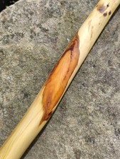 Yew Shillelagh Wooden Walking