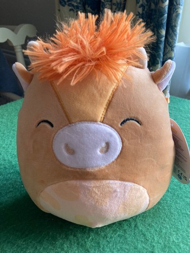 Nassim squishmallow - nassim,
