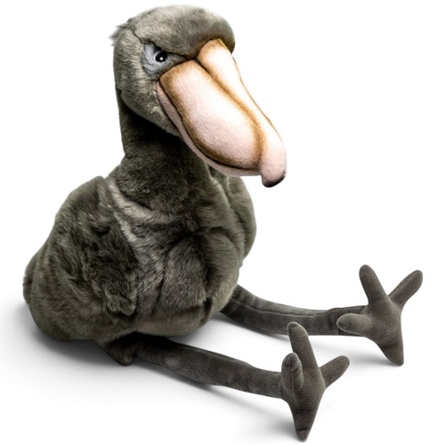 Shoebill bird approx - ., cm
