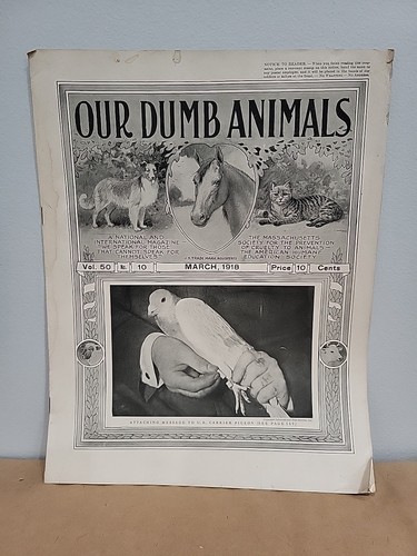 Our dumb animals - march, 1918