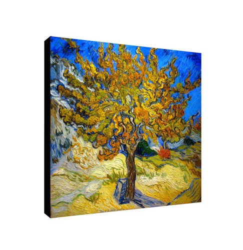 Mulberry tree vincent van - tree,