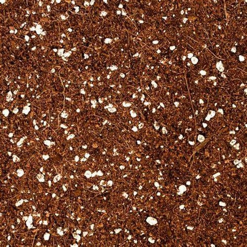 Coconut coir coco - coconut, &