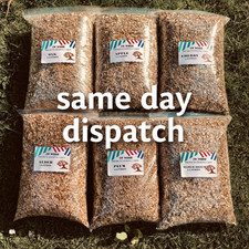 BBQ SMOKING WOOD CHIPS FOOD