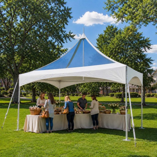 10x20 canopy party tent - canopy,
