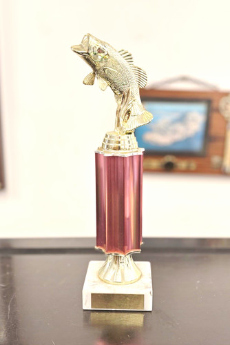 Fishing trophy silver plastic - fishing,