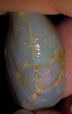 Opalised Shell Clam Fossil