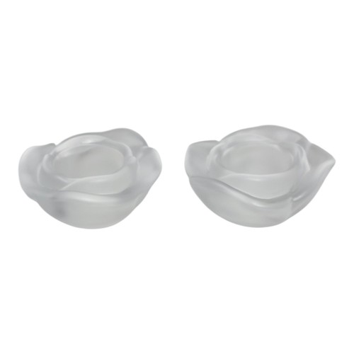 Christian dior floral frosted - floral,