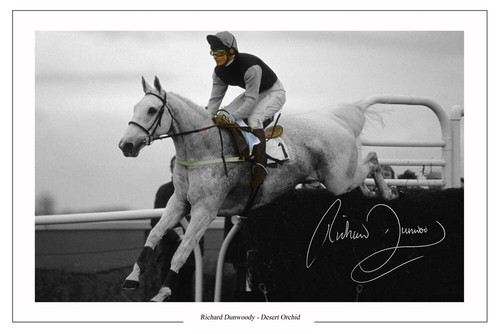 Richard dunwoody signed photo - signed,