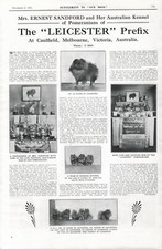 POMERANIAN 1930 LEICESTER OUR DOGS DOG BREED KENNEL ADVERT PRINT PAGE b214