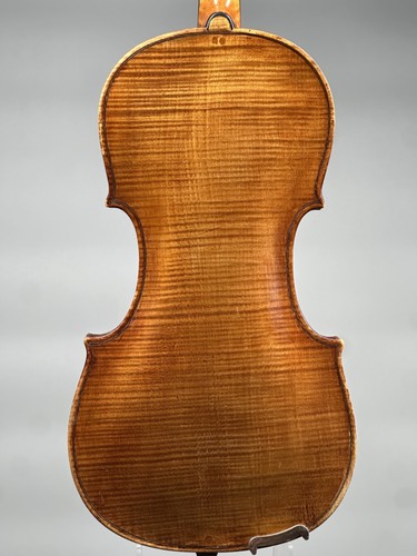 Italian violin naples circa - violin,