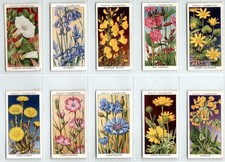 WILLS: Wild Flowers (Adhesive)