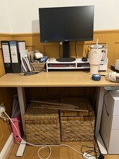 Electric Standing Desk 110X60