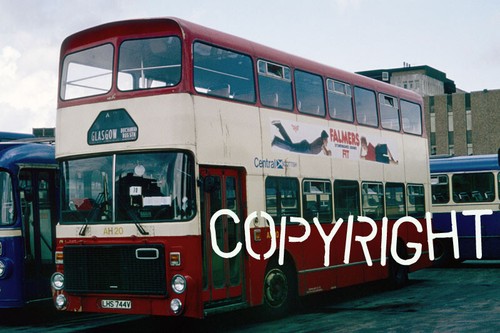 Bus photo central scottish - -,