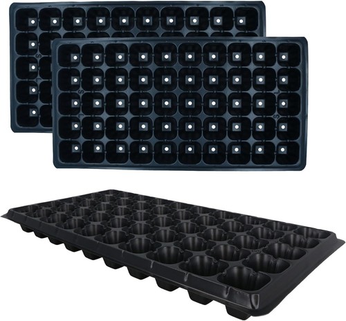 Cell full size - x, seed