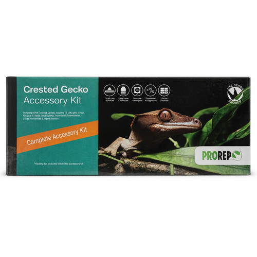 Prorep crested gecko - crested,