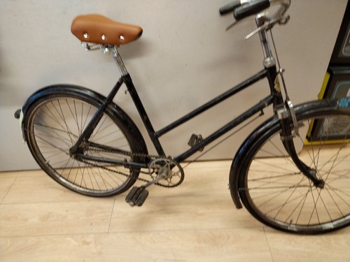Phillips sports ladies - sports, 24''