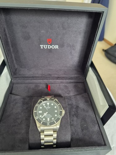 Tudor pelagos 42mm - tudor,
