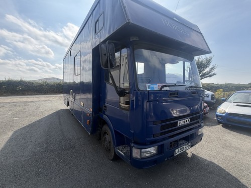Iveco 75e15 horse - horse, lorry