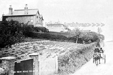 Xqq-2 Pony & Trap, New Road