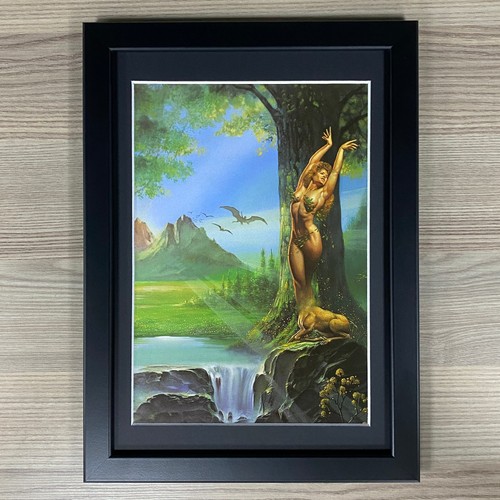 Boris vallejo framed - boris, vintage