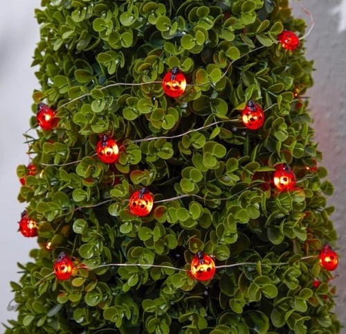 Firefly string solar - firefly, lights