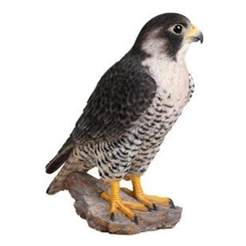 Line gift ltd - hi-line, peregrine