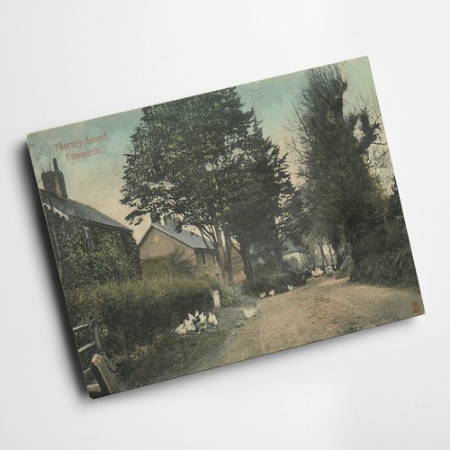 Print vintage hampshire - -,