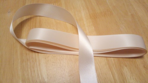 Pointe shoe ribbon - shoe,