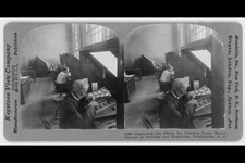 Reproduction,Bureau of