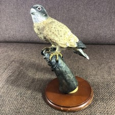 Leonardo Peregrine Falcon