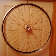 ambrosio rear fixed wheel 700c