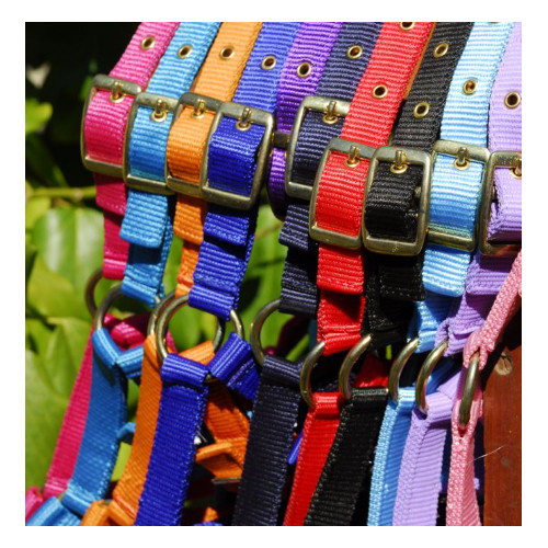 Rhinegold nylon headcollar - rhinegold, red