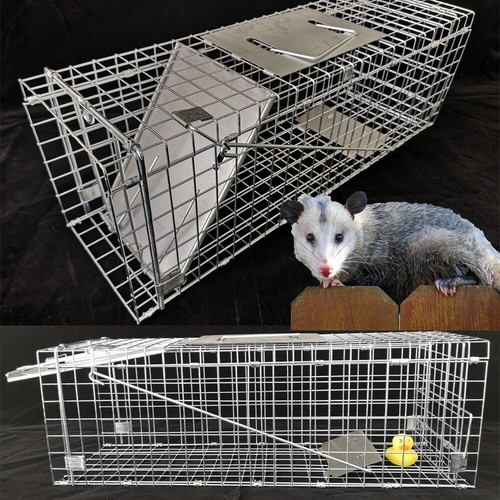 Humane animal trap for - humane,