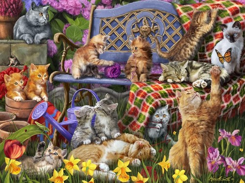 Vermont christmas company cats - vermont,