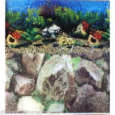 19" Double Sided Aquarium Background Backdrop Fish Tank Reptile Marine BG749