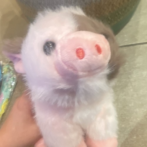 Small plush pig soft toy - small,