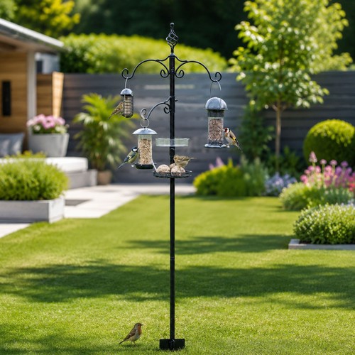 Wild bird garden feeding - wild,