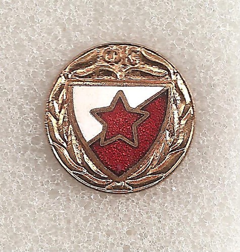 Pin badge abzeichen football - badge,