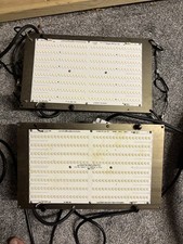 Quantum Board X2 Hlg