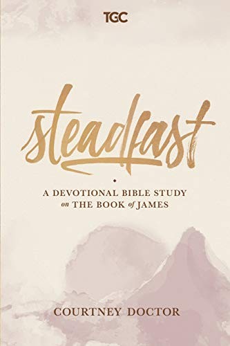 Steadfast devotional bible - a,