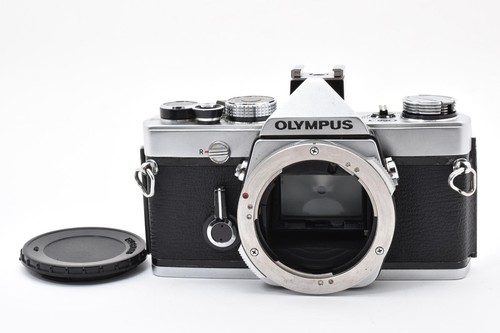 Fast ship read - fast, olympus