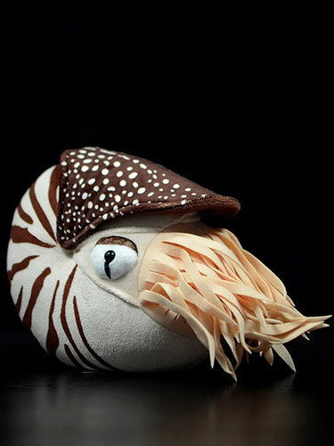 Cute lovely 20x18x9cm nautilus - cute,