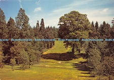 D025169 Juniper Bank and fine oak tree by Dallimore Avenue. Bedgebury Pinetum. D