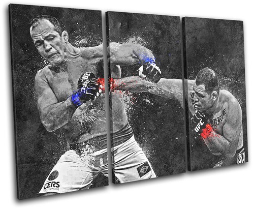 Ufc grunge cain velasquez - ufc,
