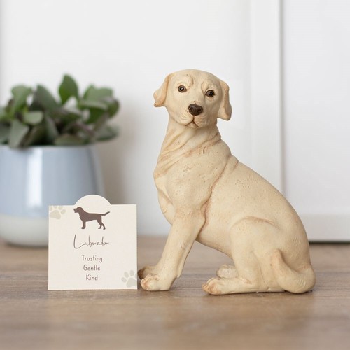 Resin yellow labrador - yellow,
