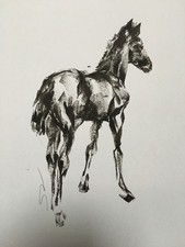 Original signed Ink study sketch painting of a Horse Foal Pony. Approx. A3