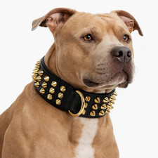Real Leather Dog Collar Black
