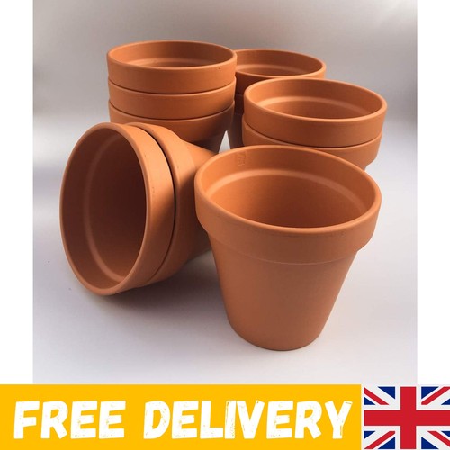F13 small terracotta plant - [f13],
