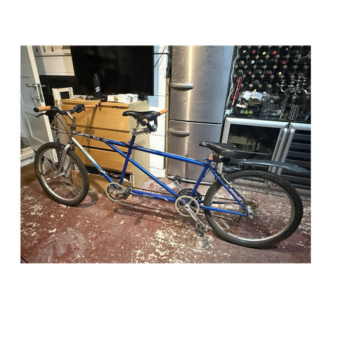 Phillips duo tandem bike blue - phillips,