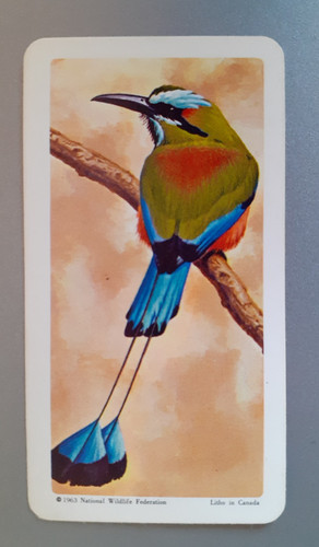 Brooke bond canada tropical - brooke,